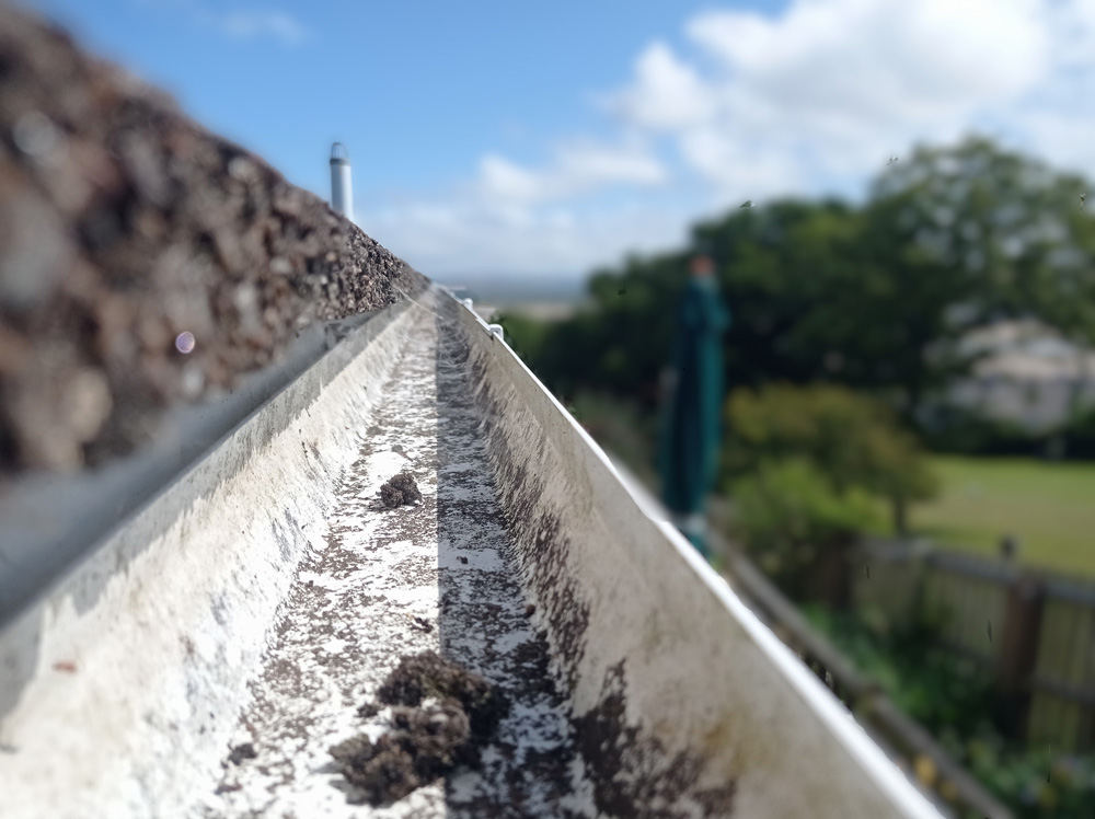 Gutter inspection