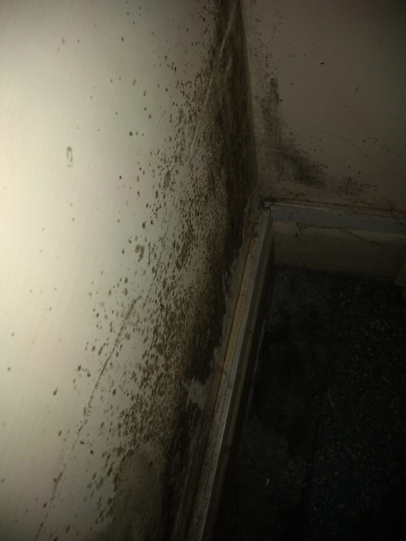 Condensation mould behind a wardrobe