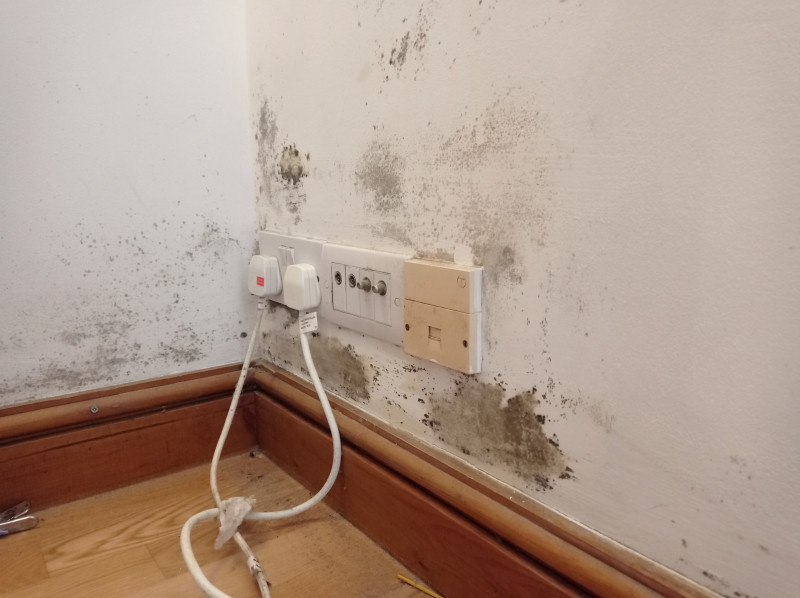 Photo showing mould on a wall